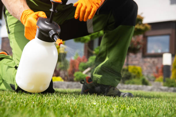 Best Affordable Pest Control Services  in Fortuna, CA