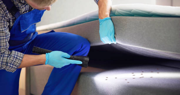 Trusted Fortuna, CA Pest Control Experts